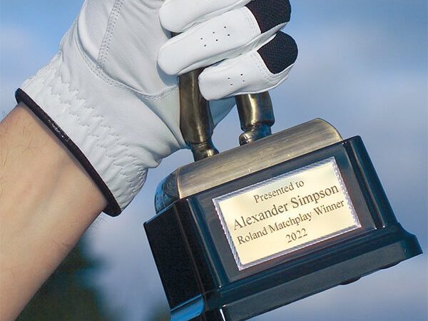 Imprimanta cu impact pe metale MPX 90S 5 Imprimanta-cu-impact-pe-metale-MPX-90S-5