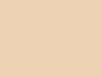 BEIGE 004