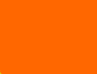 NEON ORANGE 181