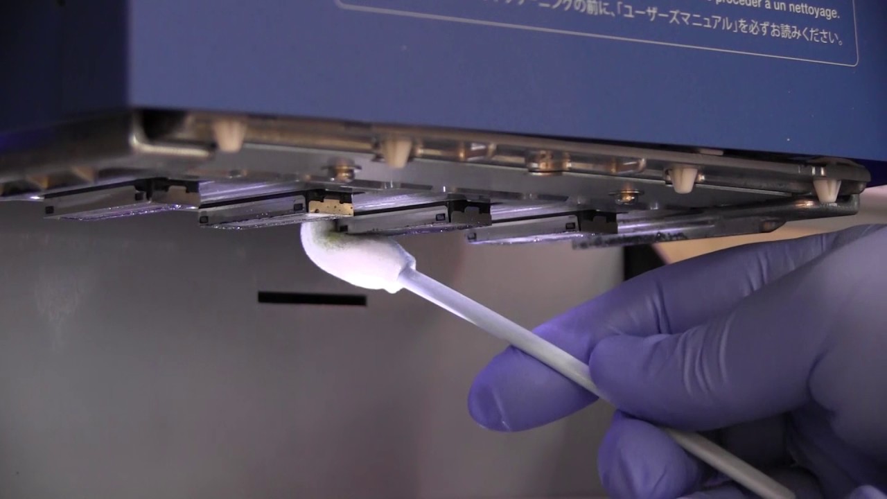 Mententa imprimante Roland