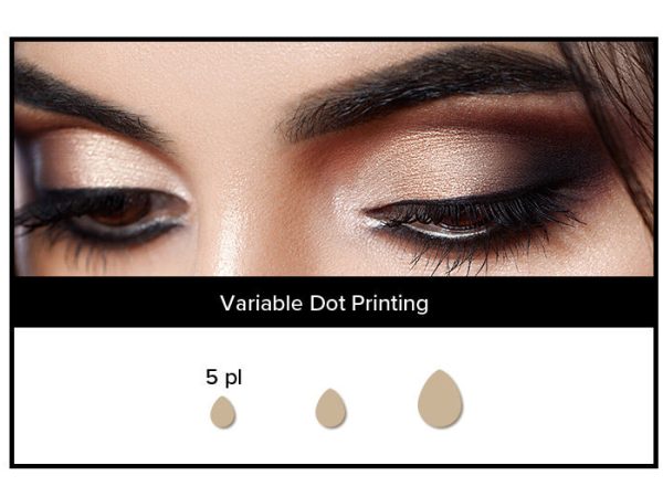 variable dot printing mobile